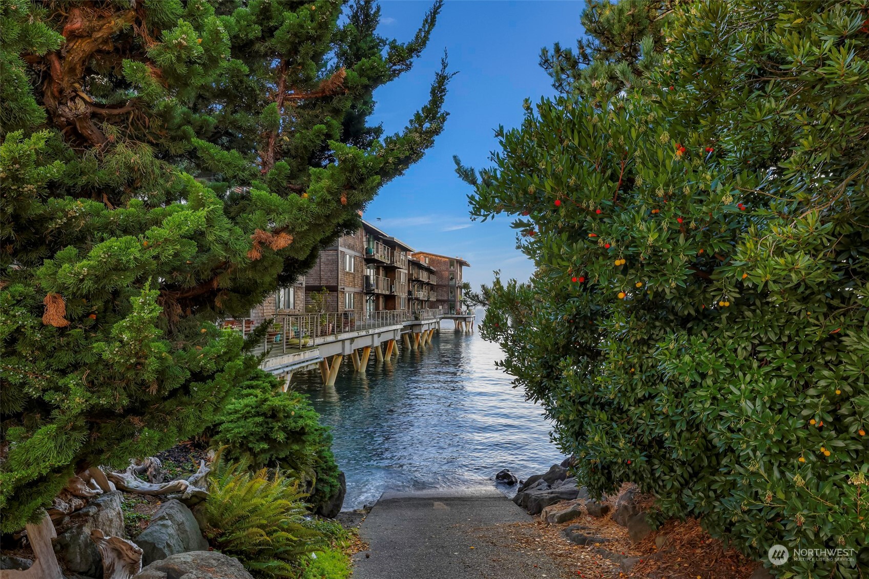 Beach Dr, Seattle, WA 98116 #1
